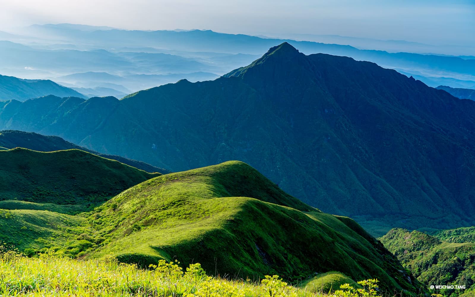 赴一场十万亩高山草甸的云海之约